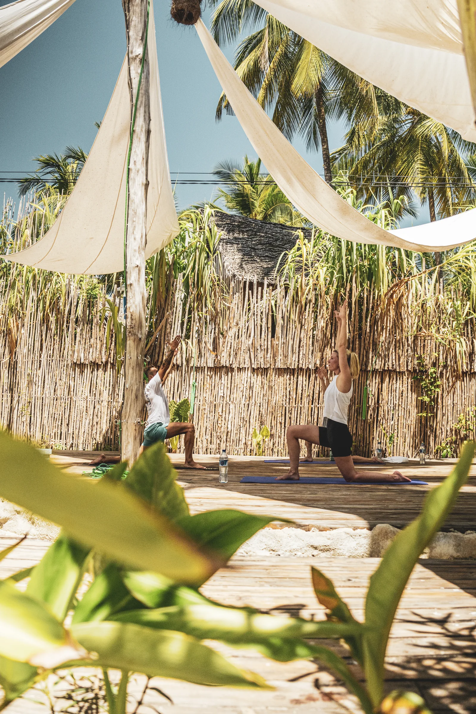 Yoga session on a wooden deck platform among the greenery