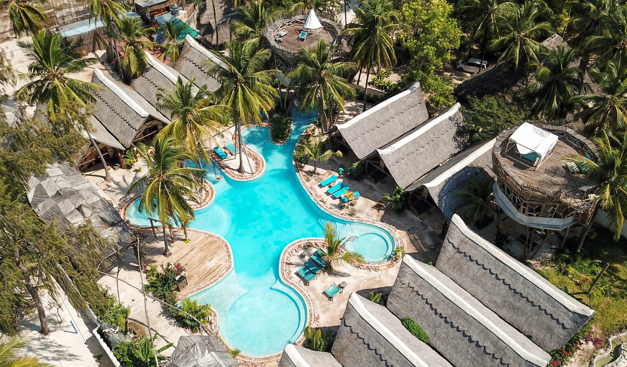 Aerial view of the organic pool surrounded by palm trees